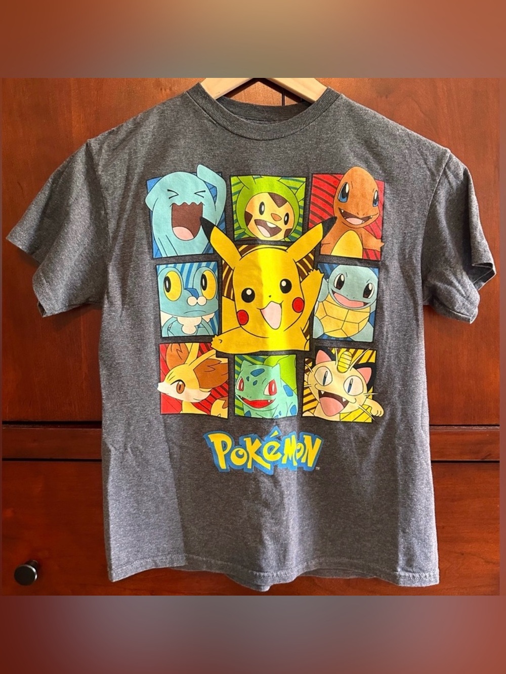 KIDS Pokémon Charcoal Gray Cotton Short Sleeve T-Shirt - SMALL